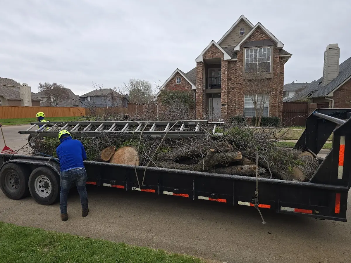 Expert Tree Fertilization with proper safety equipment in Jones